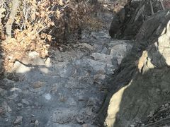 -大连天门山国家森林公园