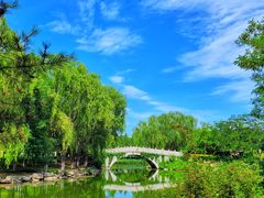 -大兴滨河森林公园