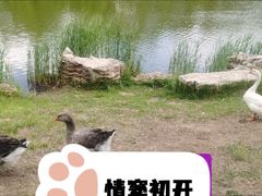 -内蒙古自治区国际蒙医医院(总院)