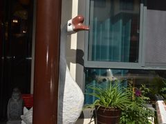-巢湖名吃·东关老鹅汤(江南风情街店)