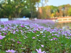-广东花都香草世界旅游度假区