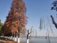 -东湖听涛景区