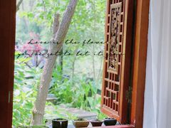 -合肥滨湖国家森林公园