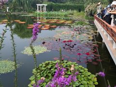 -国家植物园南园