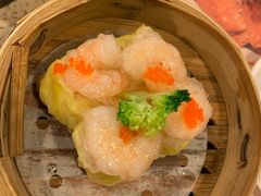 -美食小镇·观赏珍稀鸟类·长隆熊猫酒店
