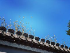 -VOYAGE COFFEE(北锣鼓巷店)