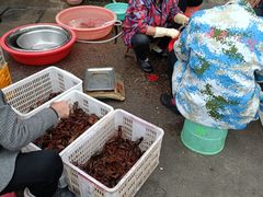 水产区-小李子油焖大虾向阳总店