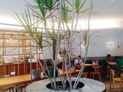 -村外有星光小食铺(长嘉汇店)