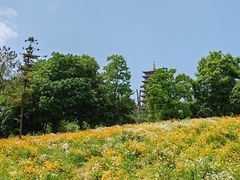 -牛首山文化旅游区