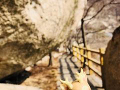 -崂山巨峰游览区