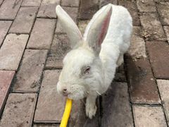 -水上乐园·欢乐世界