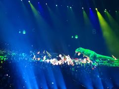 -珠海横琴长隆《卡卡虎奇遇记》