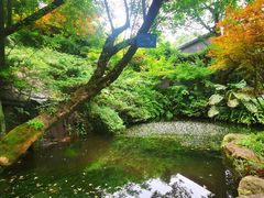 -南山植物园