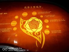 -茯茶镇
