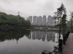 -重庆彩云湖湿地公园