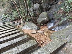 -银瓶嘴森林公园