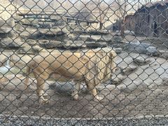 -北京野生动物园