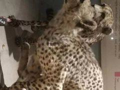 -自然博物馆新馆2楼餐厅