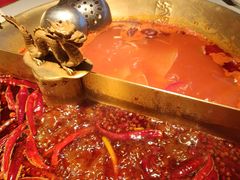 -小龙翻大江文化火锅(宽窄店)