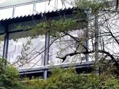 -石燕湖生态旅游景区