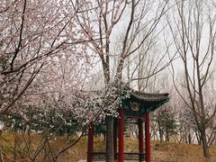 -北坞公园