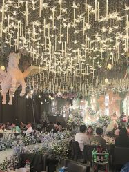 点击看大图 -花嫁丽舍婚礼殿堂(世博江景店)