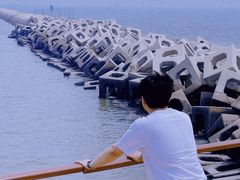 -东疆建设开发纪念公园