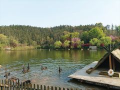 -南京银杏湖乐园