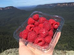 iphone_upload_pic-悉尼蓝山三姐妹峰