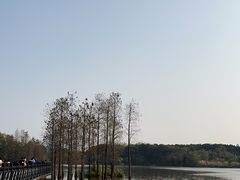 -海珠湖公园