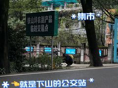 -铁山坪森林公园