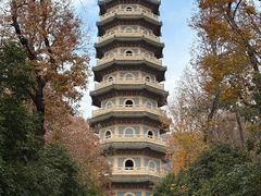 -灵谷景区