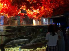 -成都浩海立方海洋公园