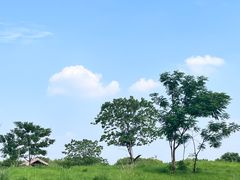 -良渚古城遗址公园
