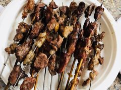 -吴淞炮台湾湿地森林公园烧烤区