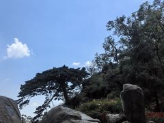 -泰山风景名胜区