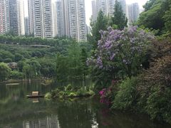 -重庆彩云湖湿地公园