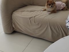 -怪兽屋·羊驼·猫咖·狗咖(俊华广场店)