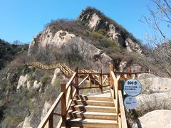 -大岭沟猕猴桃谷风景区