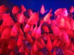 -泉州海丝野生动物世界