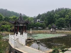 -青龙山国家森林公园