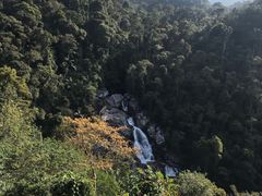 -海南热带雨林国家公园吊罗山景区