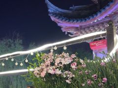 -MINIPOPO鲜奶·甜品(宽厚里店)