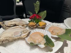 -汤城·料青山
