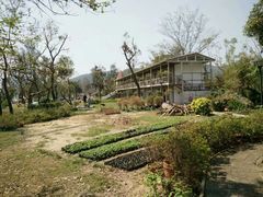 -玫瑰海岸文化旅游度假区