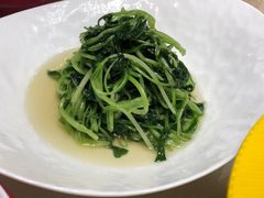清炒鸡毛菜-花家八爷府(王府井·故宫店)