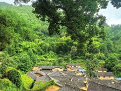 -杨家堂村