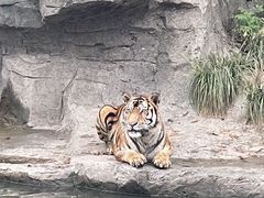 -宁波野生动物园