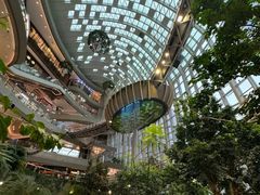-二刀潮牛(重庆光环购物公园店)