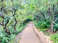 -北京西山国家森林公园